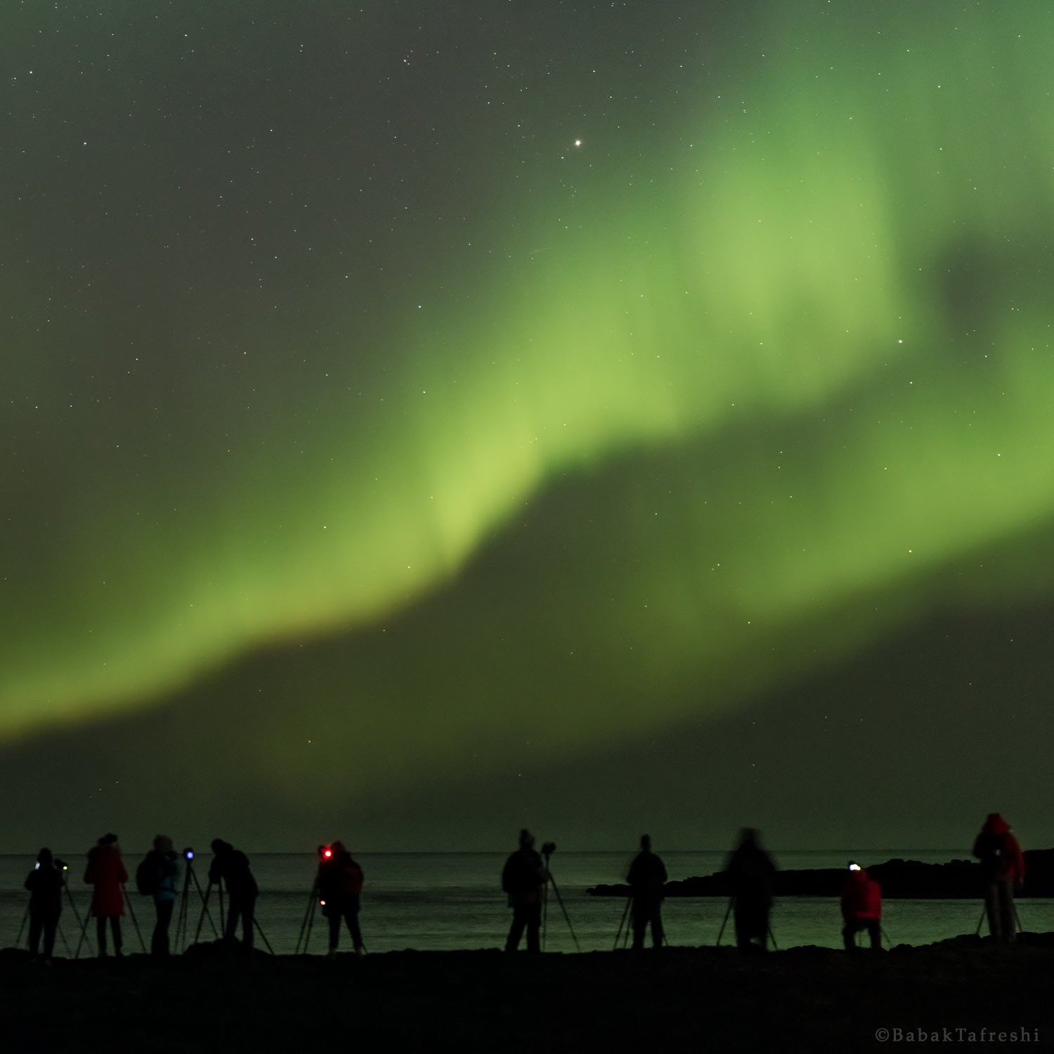 Мені гинеколог ұрды Жылқымен секс видео